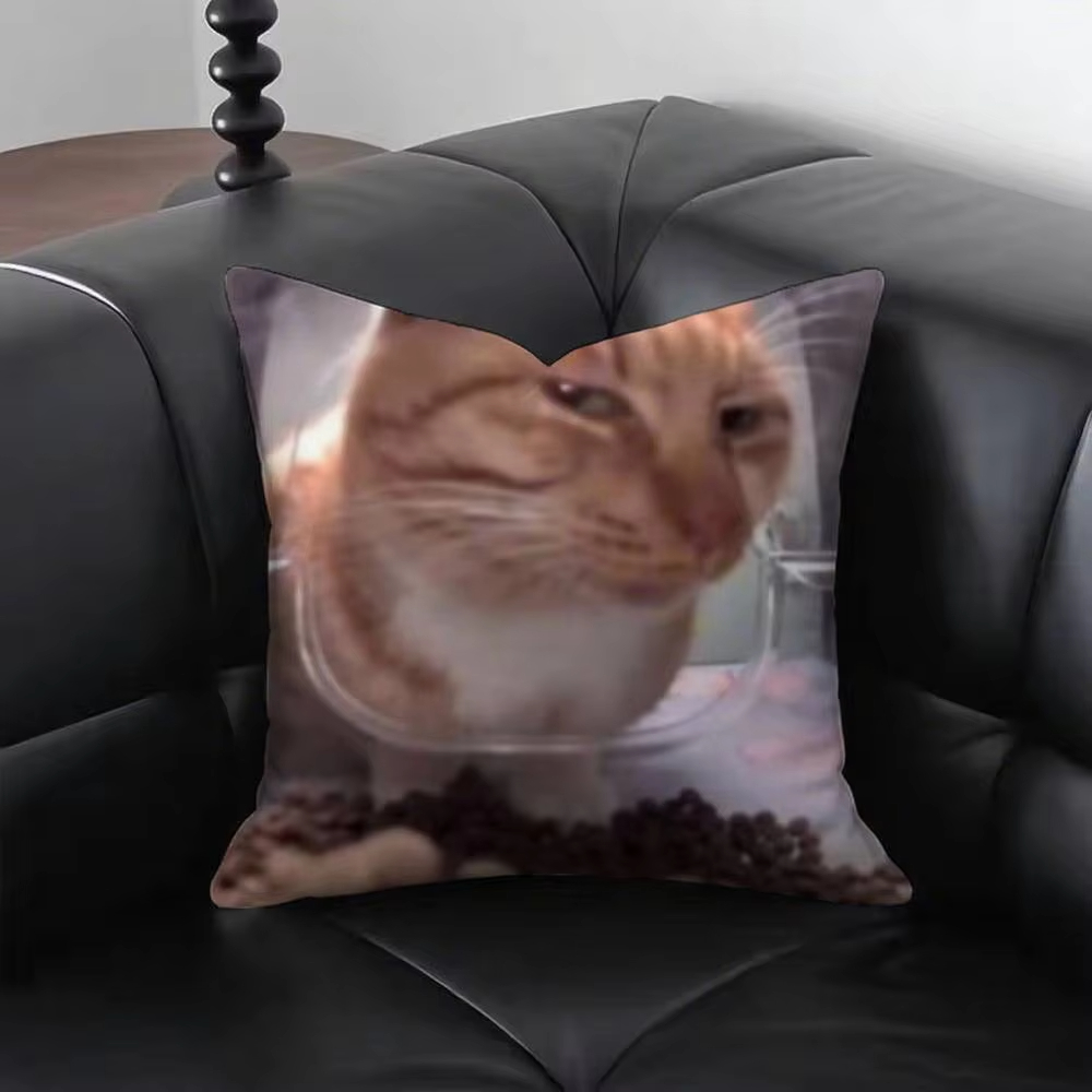 Funny Cat M-Meme Pillow Cover  - مراجعة Home Decor Emoji وسعره
