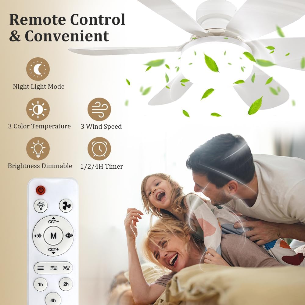 Socket Fan Light with Remote,  - مراجعة Home Decor Light وسعره