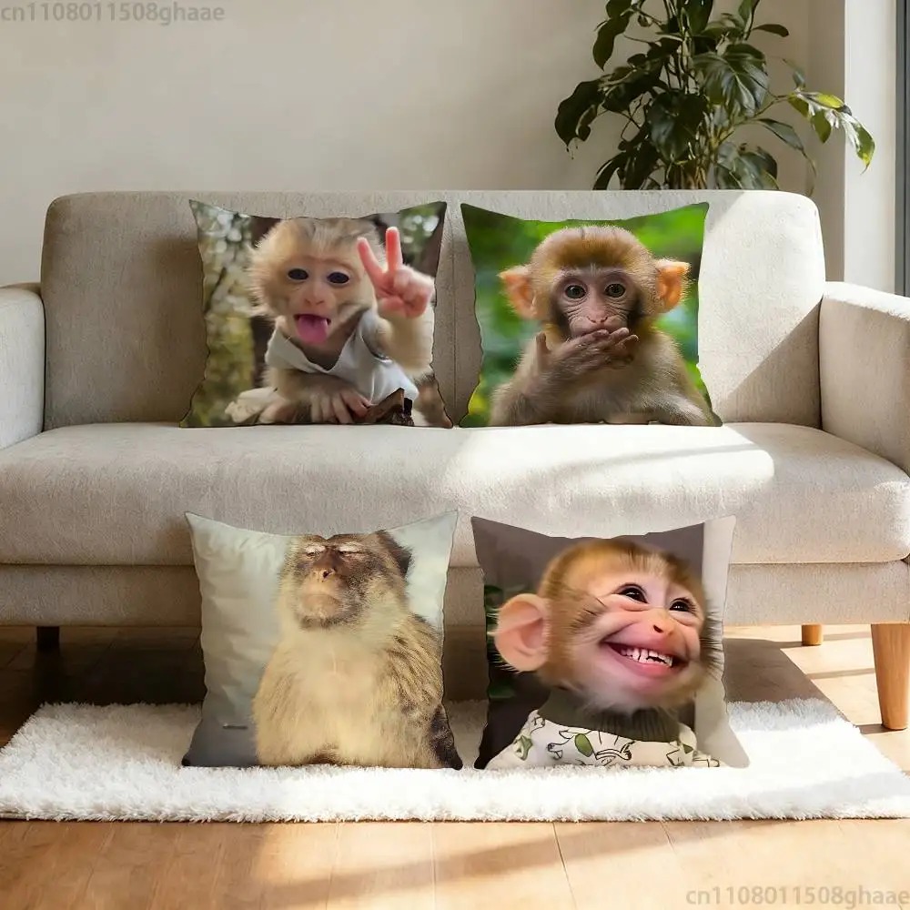 Funny Meme Monkey Cushion Cove - مراجعة Home Decor Emoji وسعره