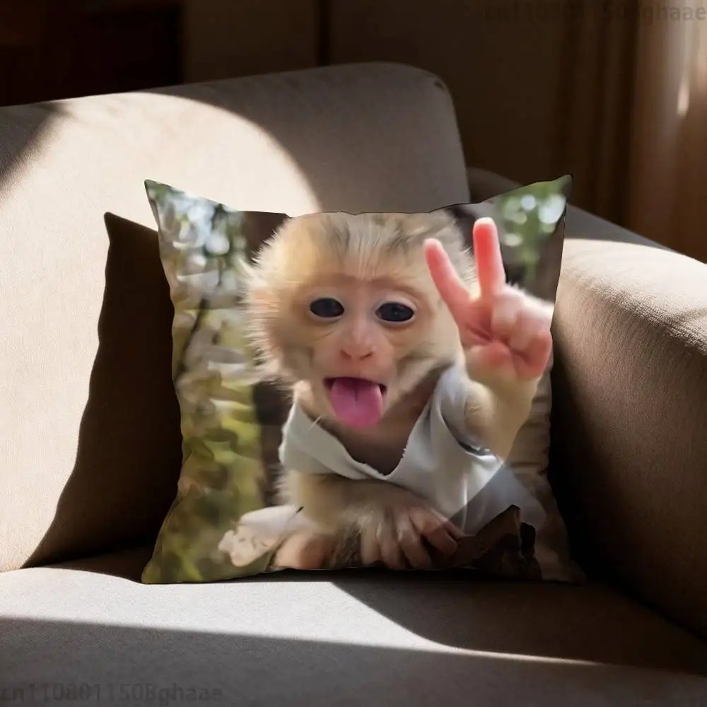 Funny Meme Monkey Cushion Cove - مراجعة Home Decor Emoji وسعره
