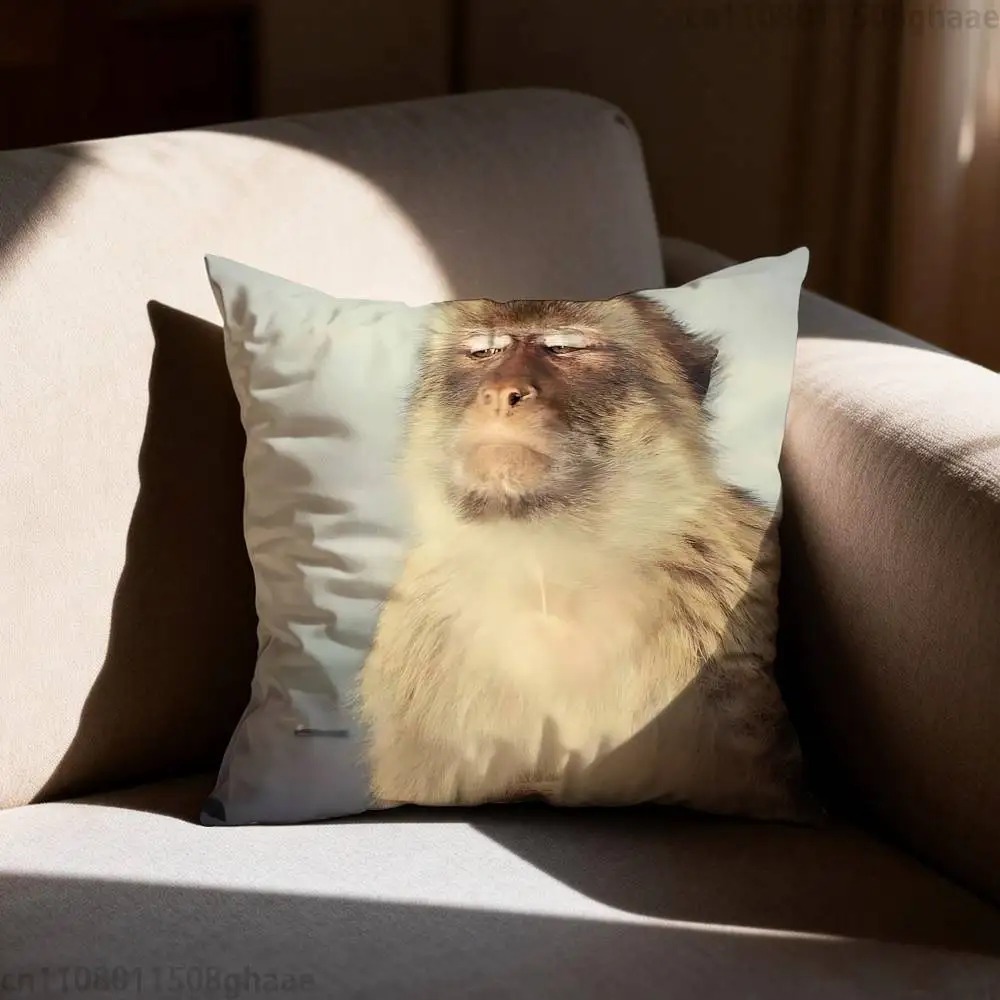 Funny Meme Monkey Cushion Cove - مراجعة Home Decor Emoji وسعره